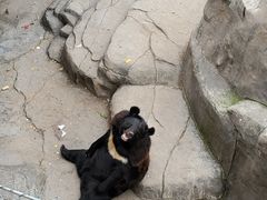 -石家庄市动物园