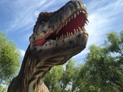 -南通洲际绿博园