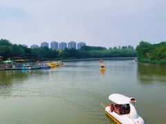 -塘沽森林公园