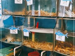 水产区-天桥饭店·特色海鲜(金山嘴渔村店)