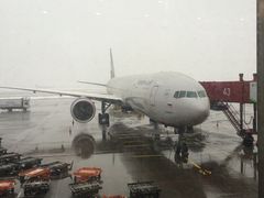 -谢列梅捷沃国际机场