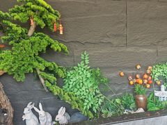 -俏东方·海味水饺·青岛菜(崂山店)