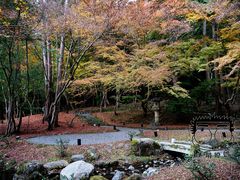 -醍醐寺