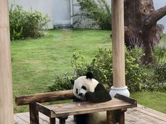 -无锡动物园·太湖欢乐园