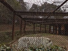 -合肥野生动物园