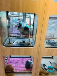 -Moni星球萌宠·小马宝莉·灵蛇·高端高阶全萌宠互动体验俱乐部(红豆国际广场店)