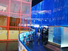 -成都浩海立方海洋公园