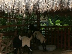 -三亚千古情景区游客中心-接待中心