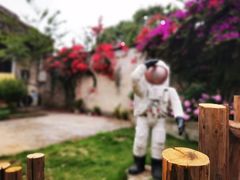 -金谷域澳洲庄园