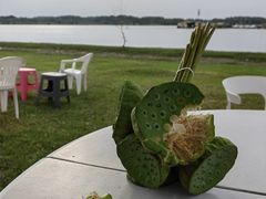 -梁子湖东篱老屋生态庄园