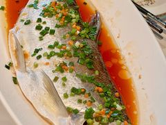 清蒸太湖大白鱼-顺鹅季·非遗烧鹅(六道口店)