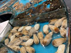 -舌尖上·霞浦滩涂海鲜·新闽菜(总店)