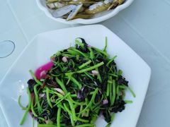 -胖大嫂渔家排档·全海景餐厅(渔村店)