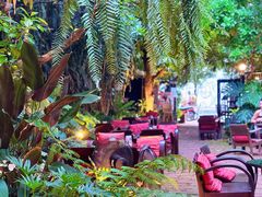 -Fern Forest Cafe