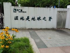 -长广溪湿地公园
