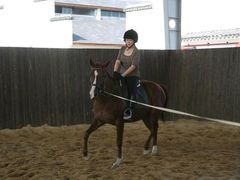 -松声马术俱乐部