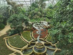 -南山植物园