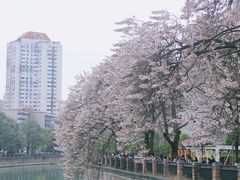 -红星桥(地铁站)