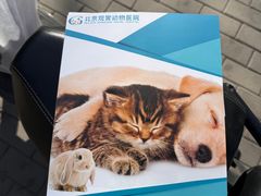 -北京观赏动物医院·24小时大型综合·猫专科·异宠专科