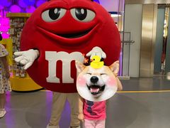 -m豆巧克力世界(上海世茂广场店)