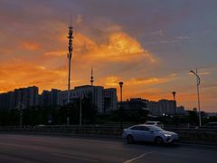 -洋湖国家湿地公园