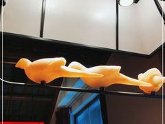 -大鸽饭(岗顶店)