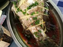 清蒸石斑鱼-钱大妈海鲜饭店(保利林语店)