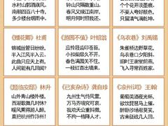 -全优加早教·托育(光大花园校区)