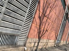 -新江湾城公园