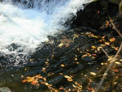 -丹东天桥沟景区