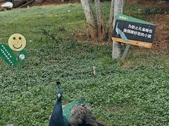 -昆明动物园