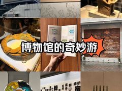 -安徽博物院新馆