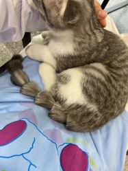 -In Beauty印诺时尚美发沙龙