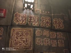 -翱翔飞越地平线