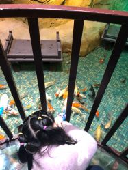 -酷嗒动物文化乐园(cutezoo西溪乐天城店)