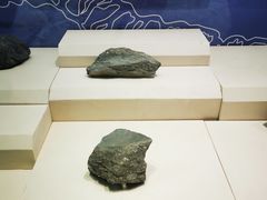 -辽宁古生物博物馆