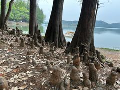 -东湖落雁景区