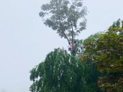 -江南天池