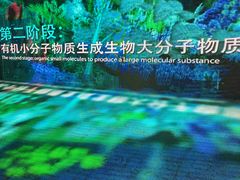 -佛山科学馆