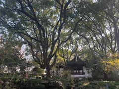 -上海醉白池公园
