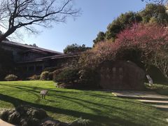 -中国茶叶博物馆(双峰馆区)