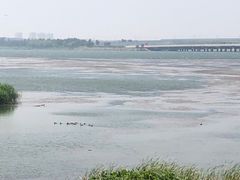-丁香湖公园