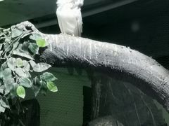 -秦皇岛新澳海底世界