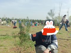 -汉长安城未央宫国家考古遗址公园