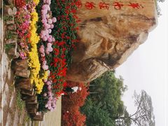 -华南国家植物园-售票处