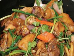 鸡煲-鸿渡渔庄·特色鸭咀鱼