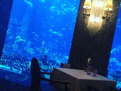 -迪拜帆船酒店海底餐厅