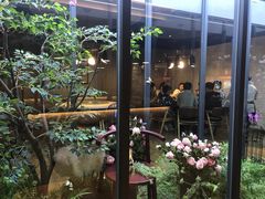 -拈菜(观音桥阳光世纪店)
