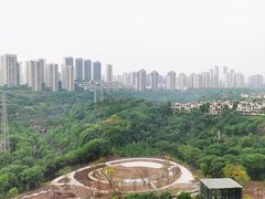 -重庆彩云湖湿地公园