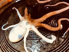 -7年8班朝鲜族非遗美食(三钢里店)